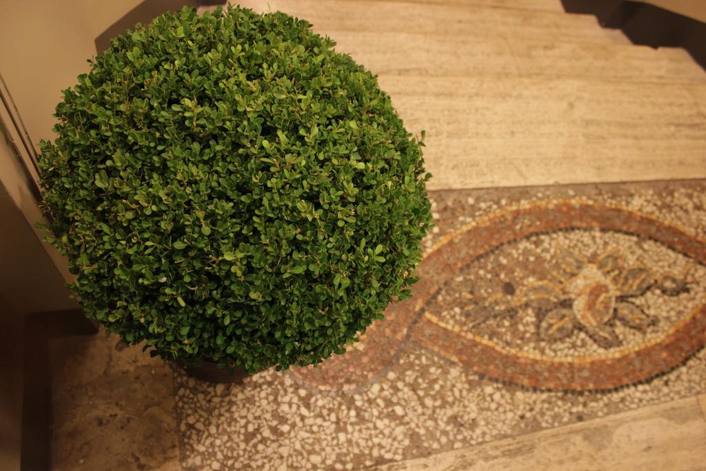 Navona Guest house 2*